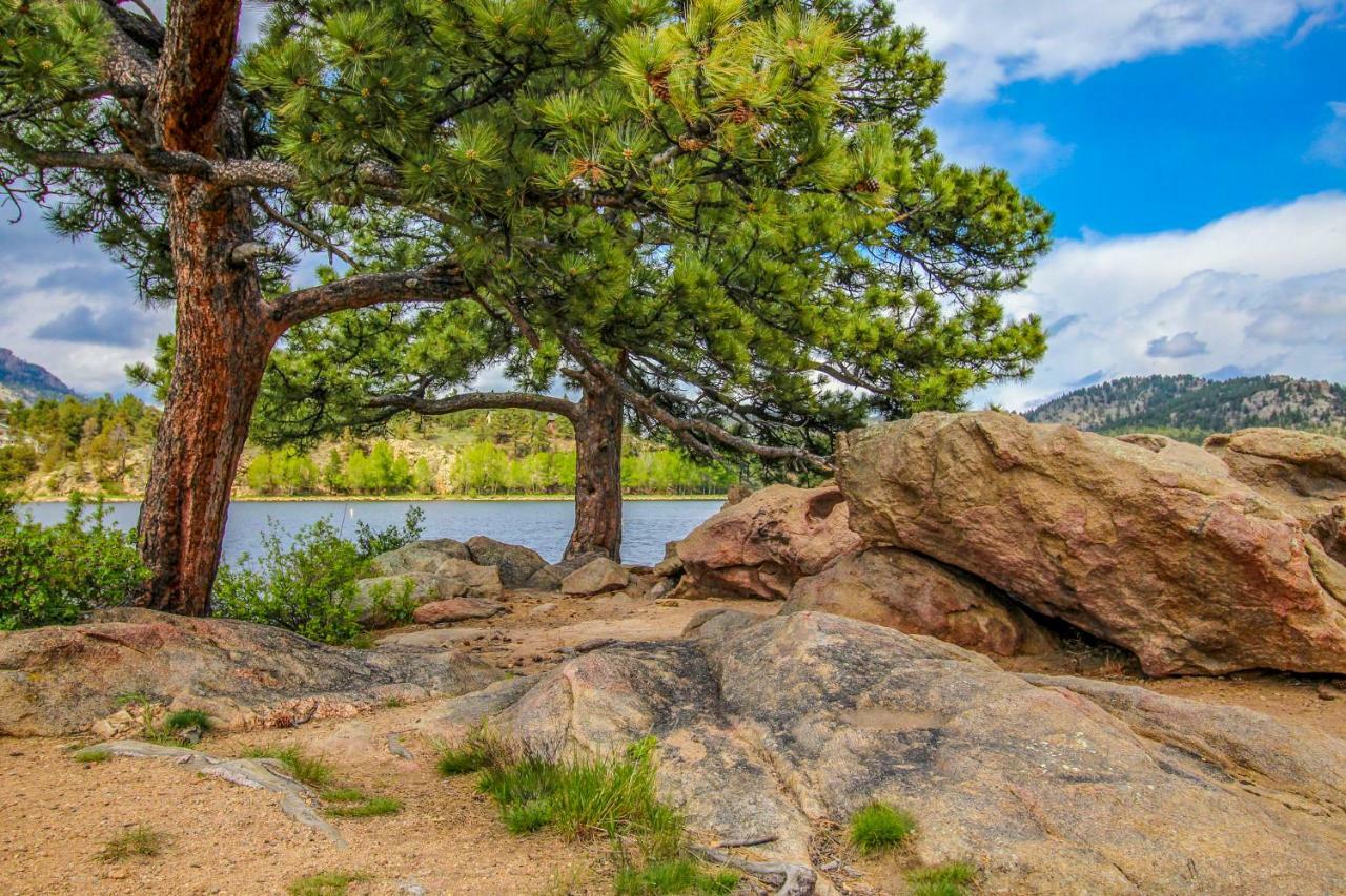 The Pine Cone - Permit #3255 Apartamento Estes Park Exterior foto